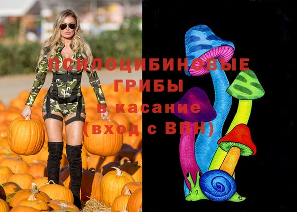 бошки Ростов