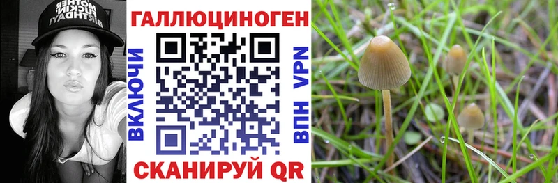 гидра tor  где продают   Любань  Псилоцибиновые грибы GOLDEN TEACHER 